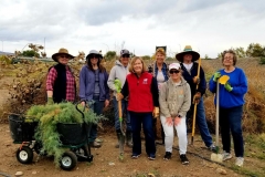 Las Colonias Cleanup